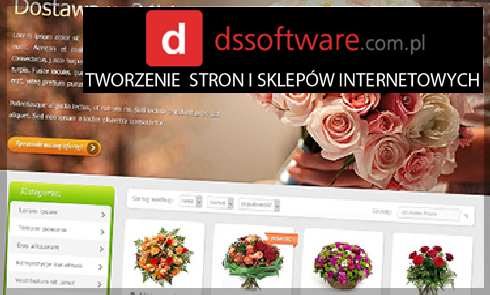 projektowanie stron internetowych Jelenia Góra