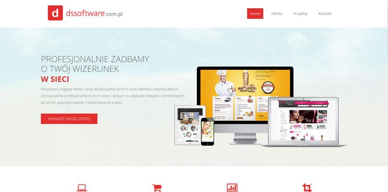 budowa stron internetowych Opalenica