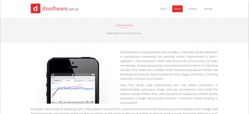 strony internetowe Sobótka cennik